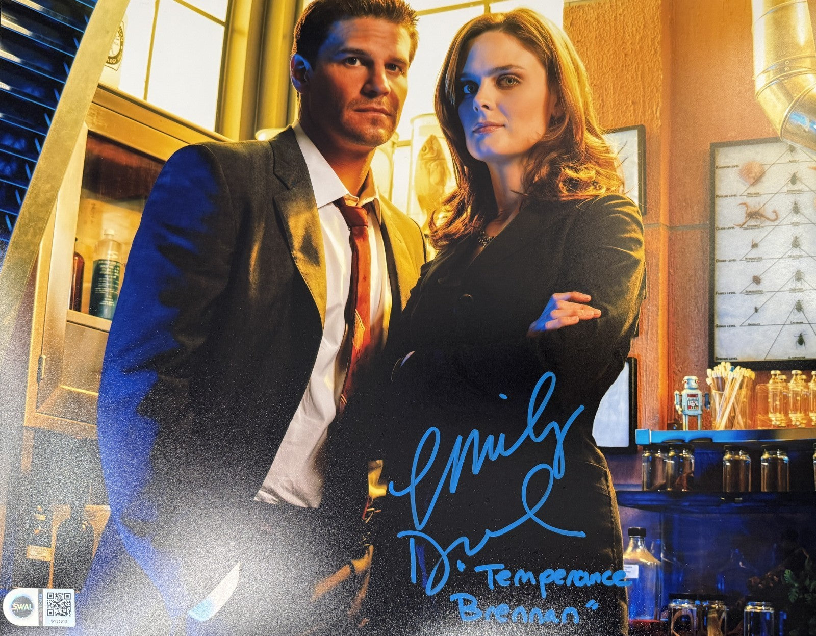 Emily Deschanel Signed 11x14 Bones Photo as Temperance Brennan - SWAU COA